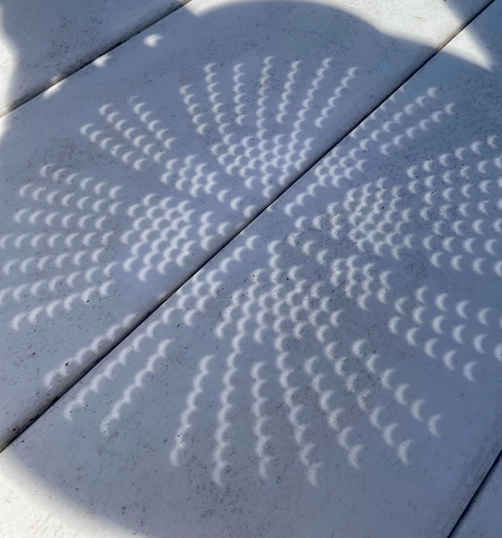 Solar eclipse seen through a collander