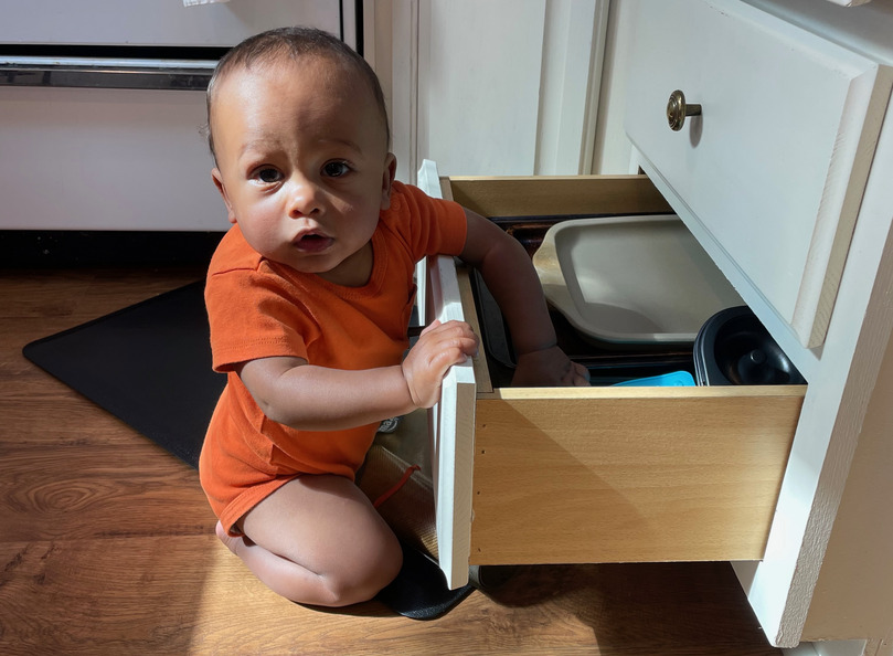 Obi loves drawers!