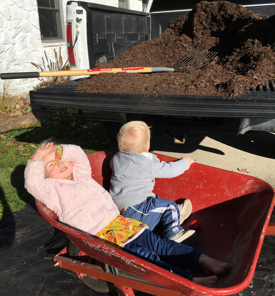 Hard at work helping Mama mulch